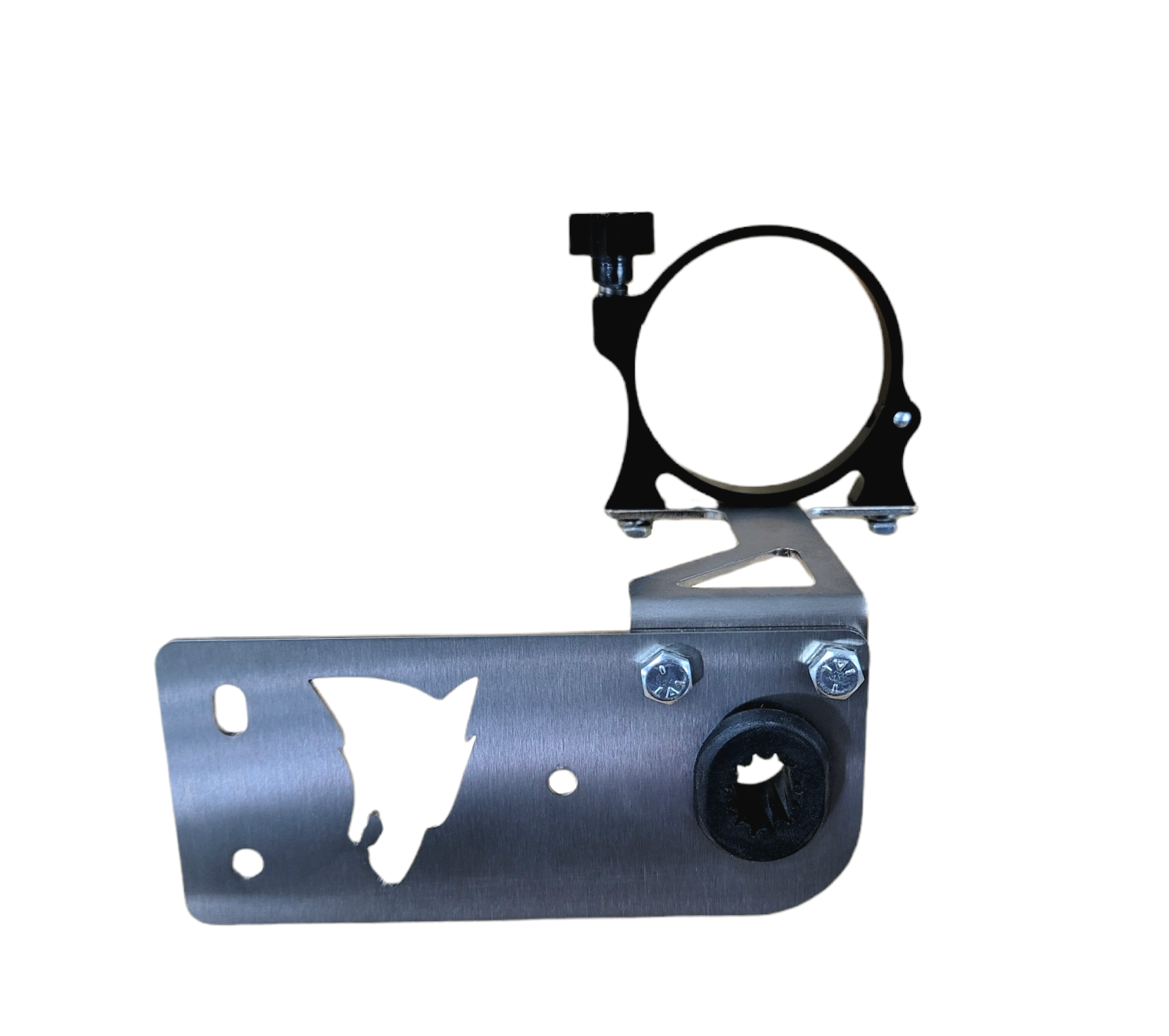 Ecoboost Mustang mild